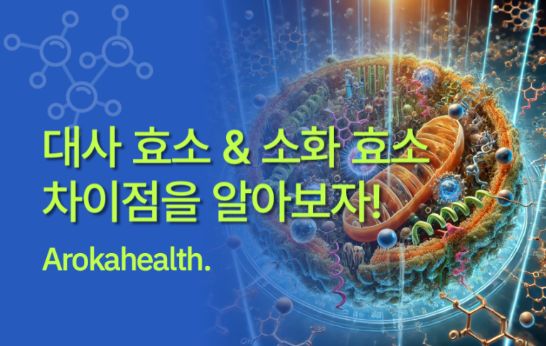 대사 효소 썸네일